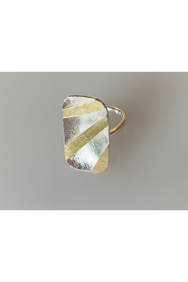 Silver and gold ring