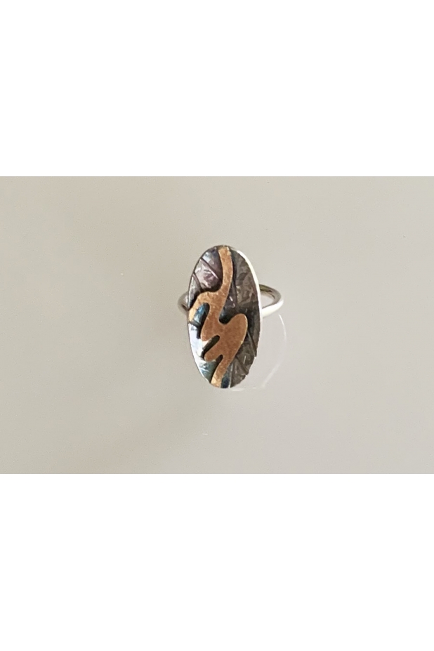 Silver and gold ring with patina.