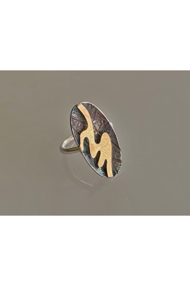 Silver and gold ring with patina.