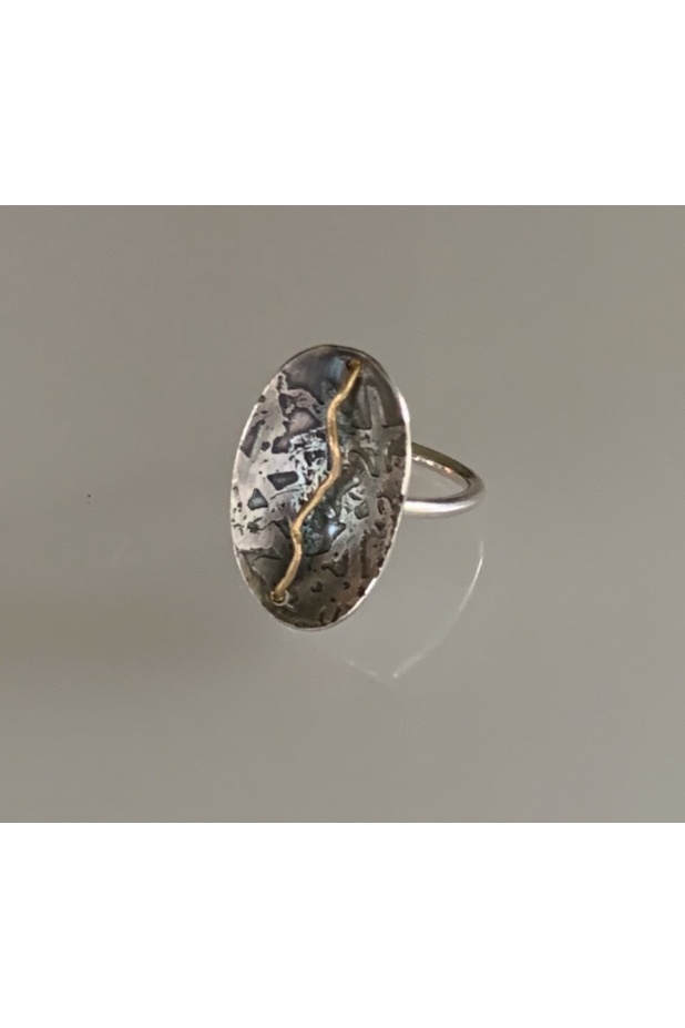 Silver and gold ring with patina.
