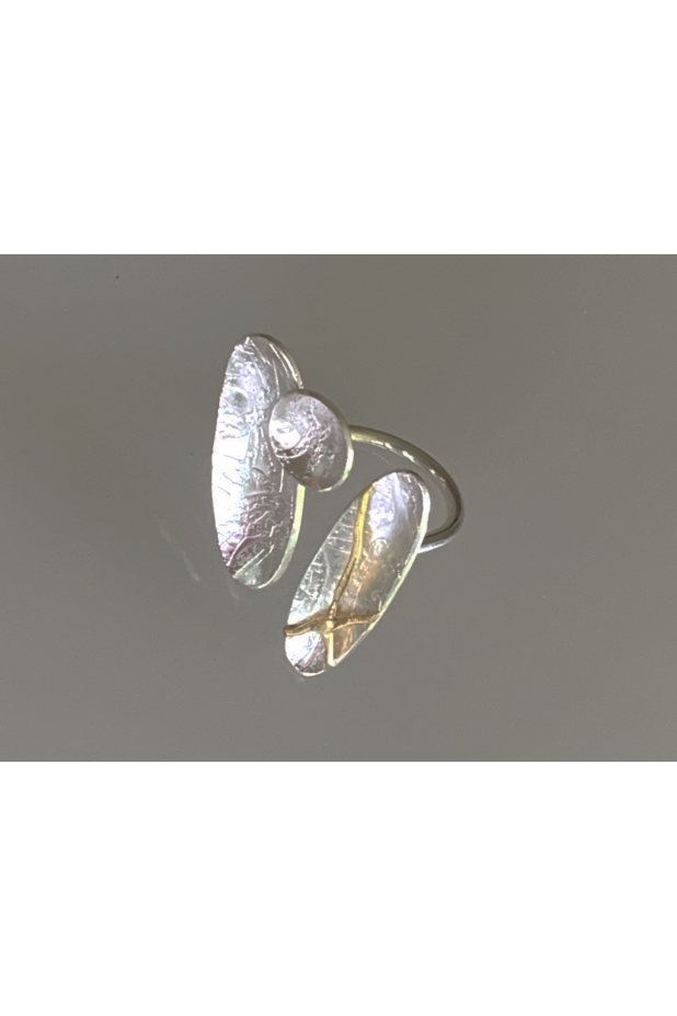 Silver and gold ring
