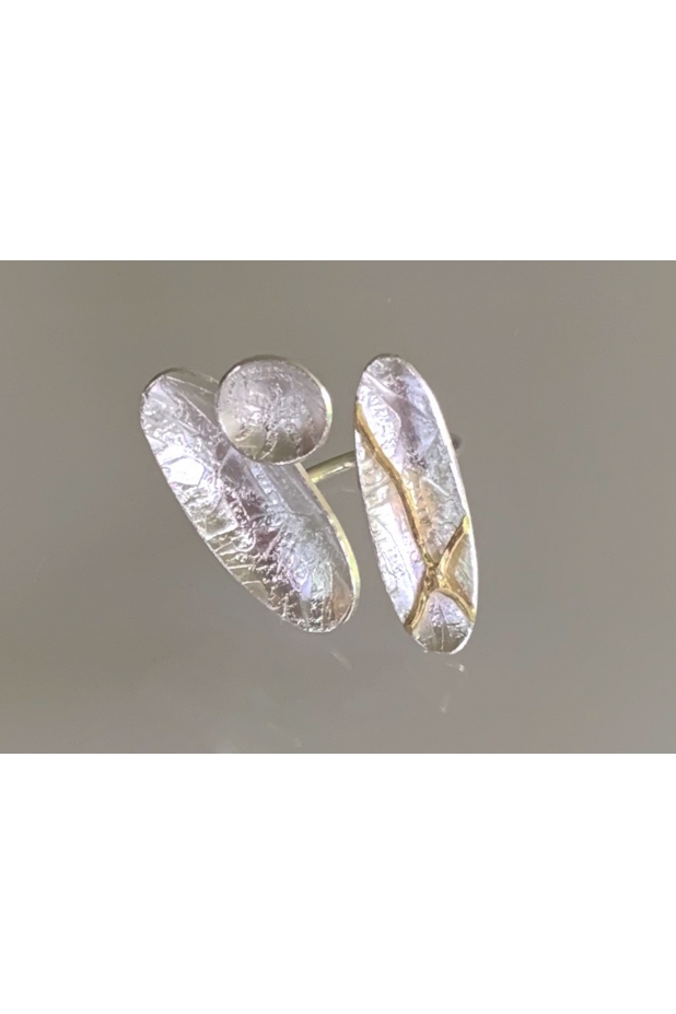 Silver and gold ring