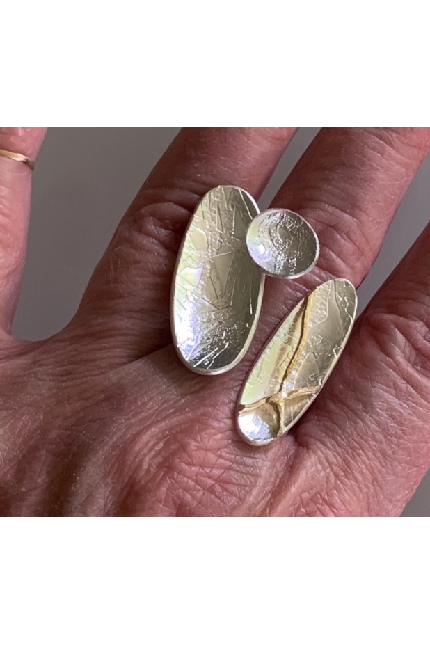 Silver and gold ring