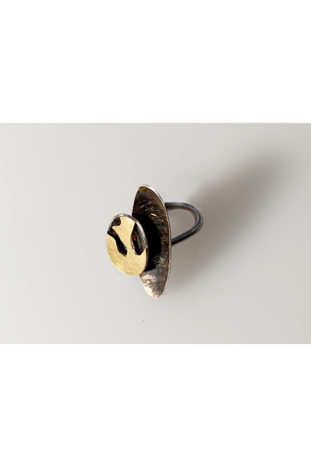 Silver and gold ring with patina.