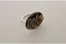 Silver and gold ring with patina.